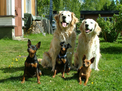 Wiima and her family members. Copyright R. Vepsäläinen